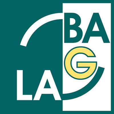 Bild vergrern: BAG-LAG Logo